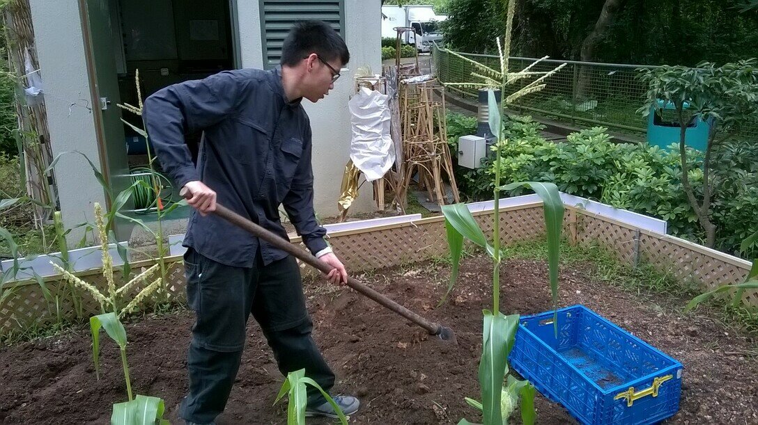 Eco-Garden On Campus Promotes Sustainability Education