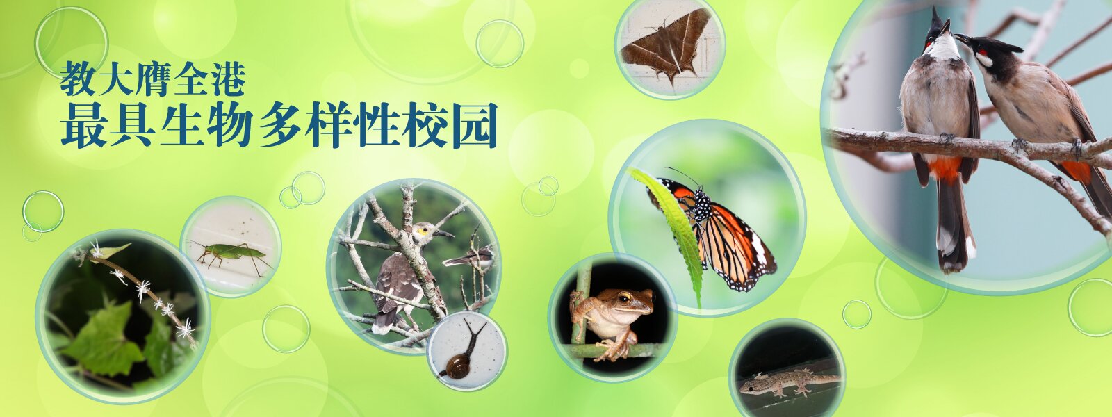 教大膺全港最具生物多样性校园